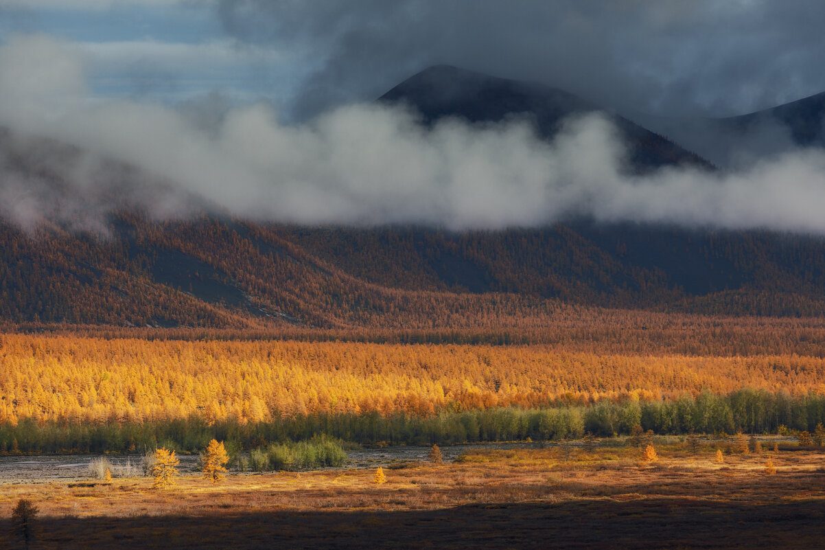 Золотая осень в Оймяконье - Дмитрий Шишкин