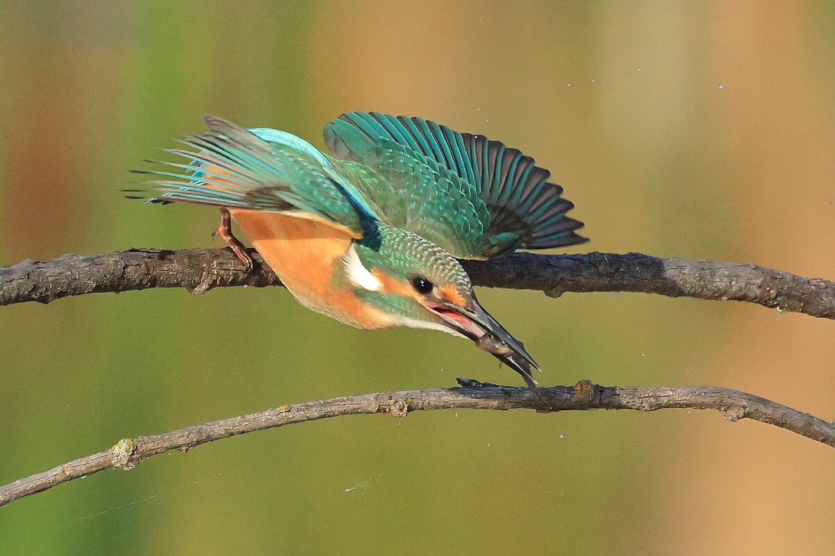 Мгновение из жизни... - Владилен Панченко Мгновение из жизни... - Владилен Панченко