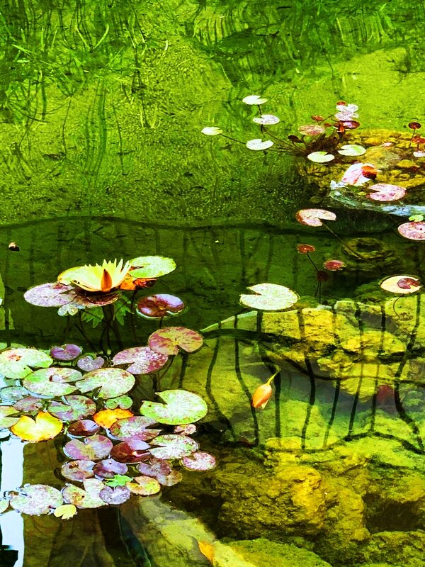 ПРУД   У   ТЦ (2) - Анатолий Малобродский