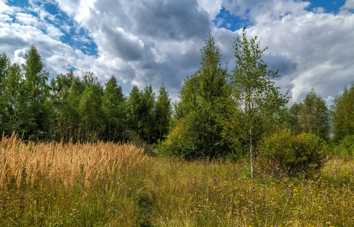 Вторая половина Августа 10 - Андрей Дворников