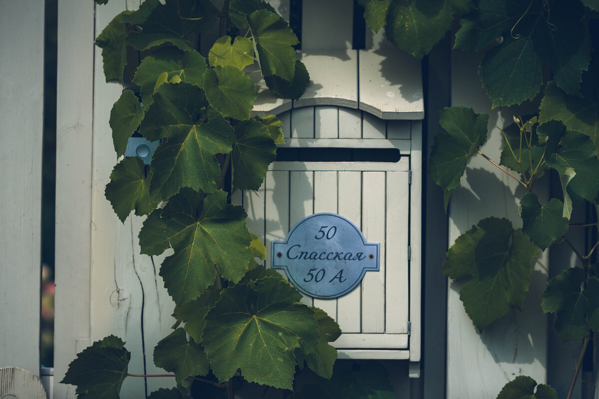 Суздаль, он такой - Вячеслав Владимирович