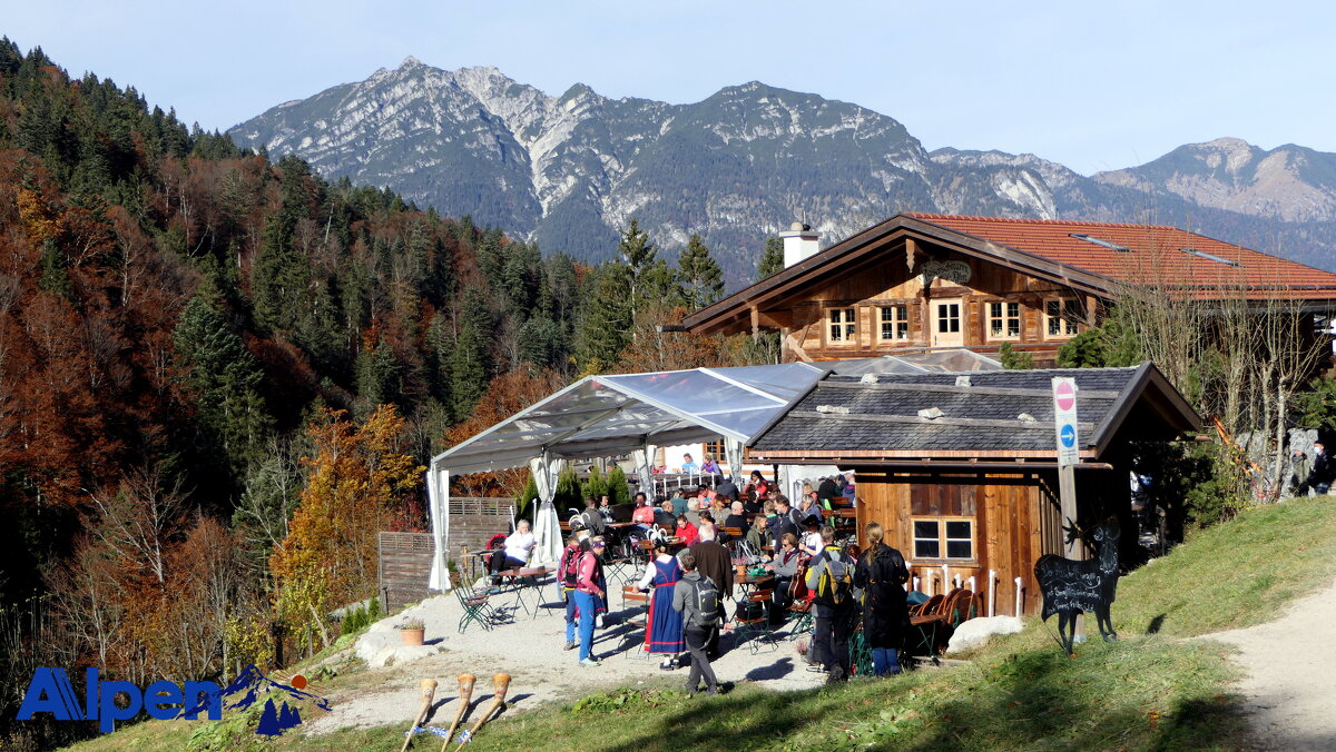 Мир Природы..."Natural World" - "The Natural World" Александер