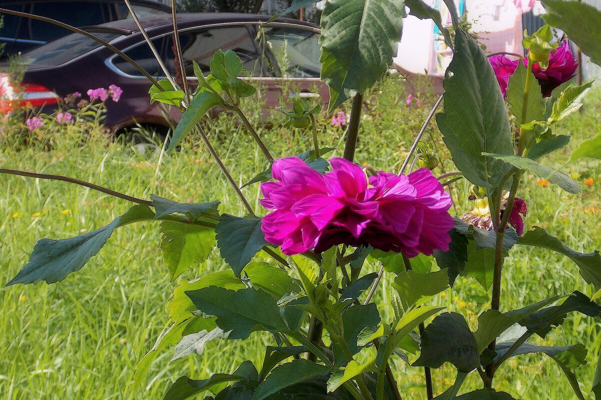 Во дворе - Фотогруппа Весна