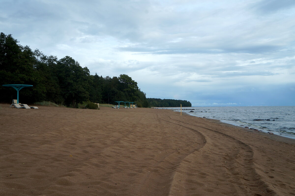 пляж в Серово - zavitok * пляж в Серово - zavitok *