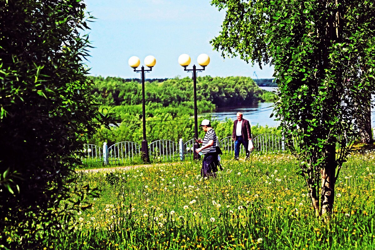 Июнь...На одуванчиковой полянке в церковном парке! - Владимир 