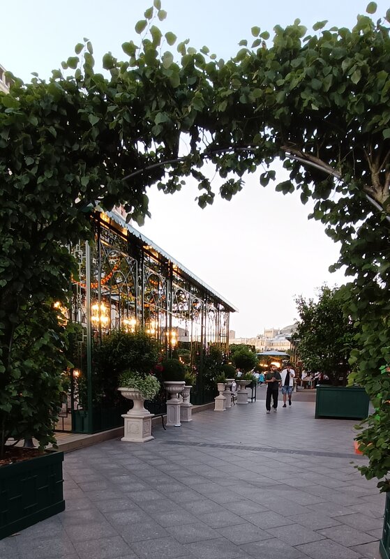 дни фестиваля - Галина R...