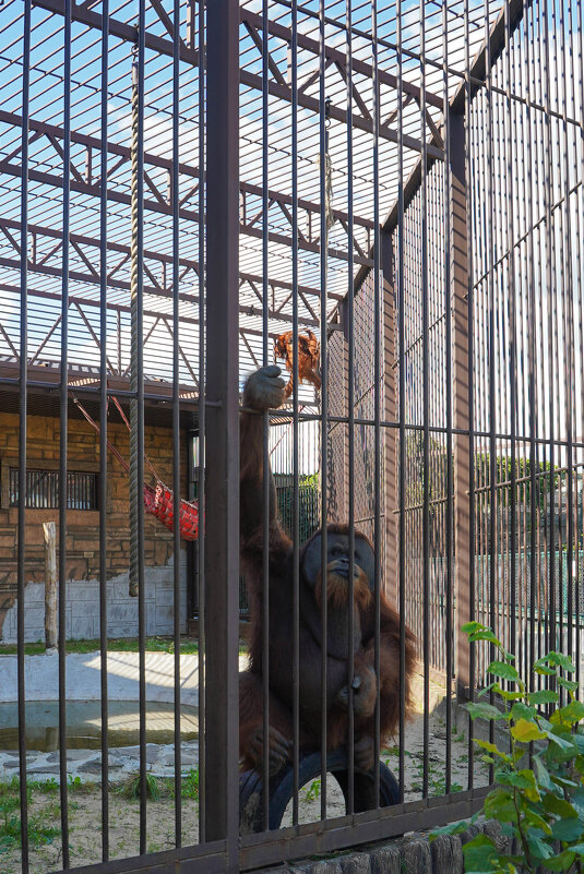 ИХ_ДОМ - Сергей Янович Микк