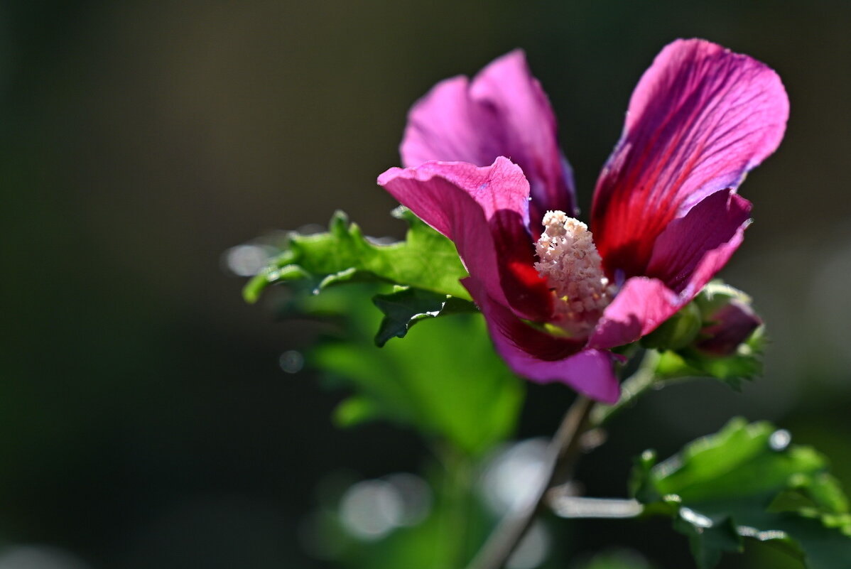 Скоро Осень... - Николай Саржанов