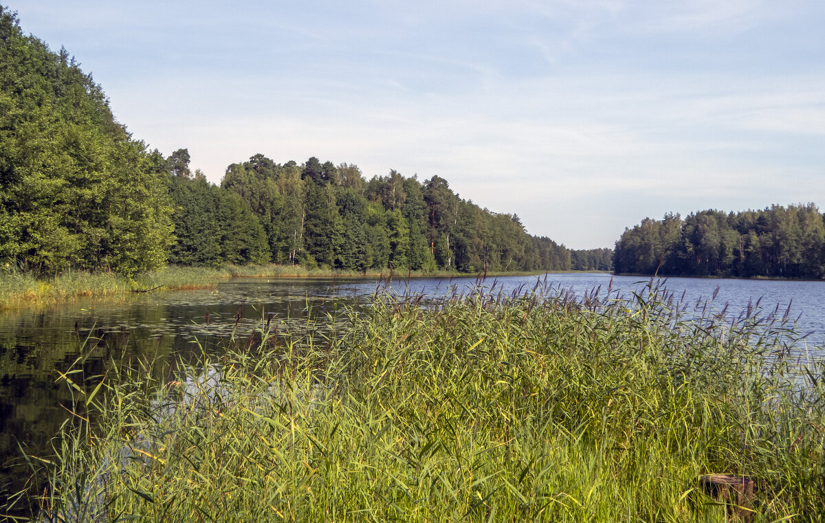 г.Покров. Черное озеро - Сергей Цветков
