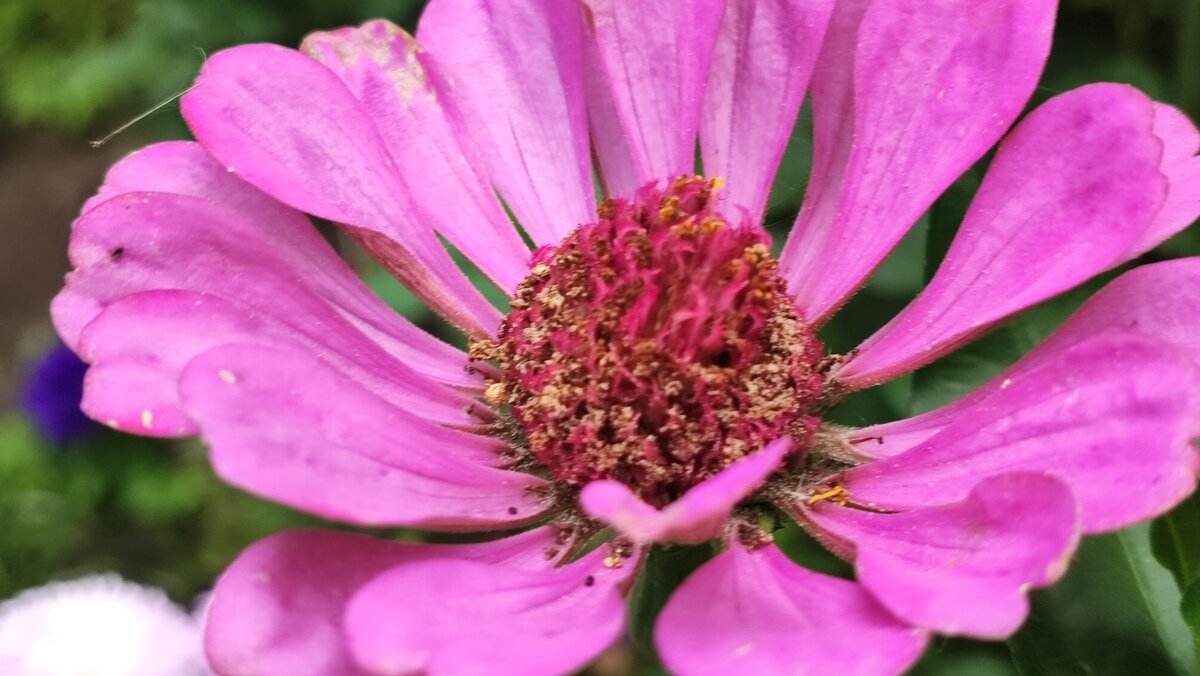 ,,, - Сергей Тимоновский