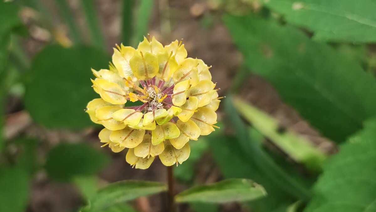 ,,, - Сергей Тимоновский ,,, - Сергей Тимоновский