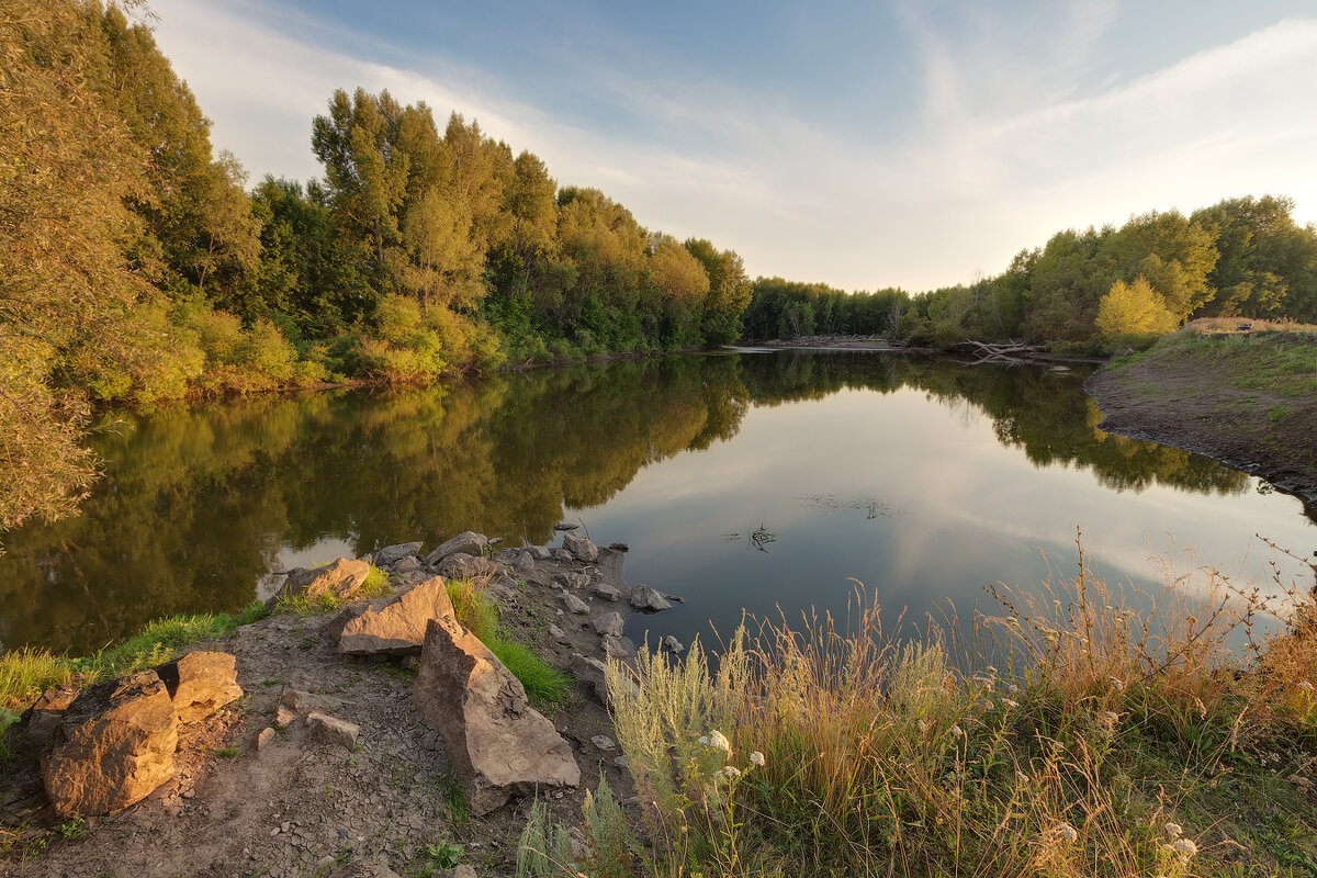 *** - Александр Кислицын