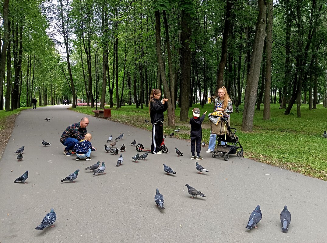 Дружное семейство... - Мария Васильева