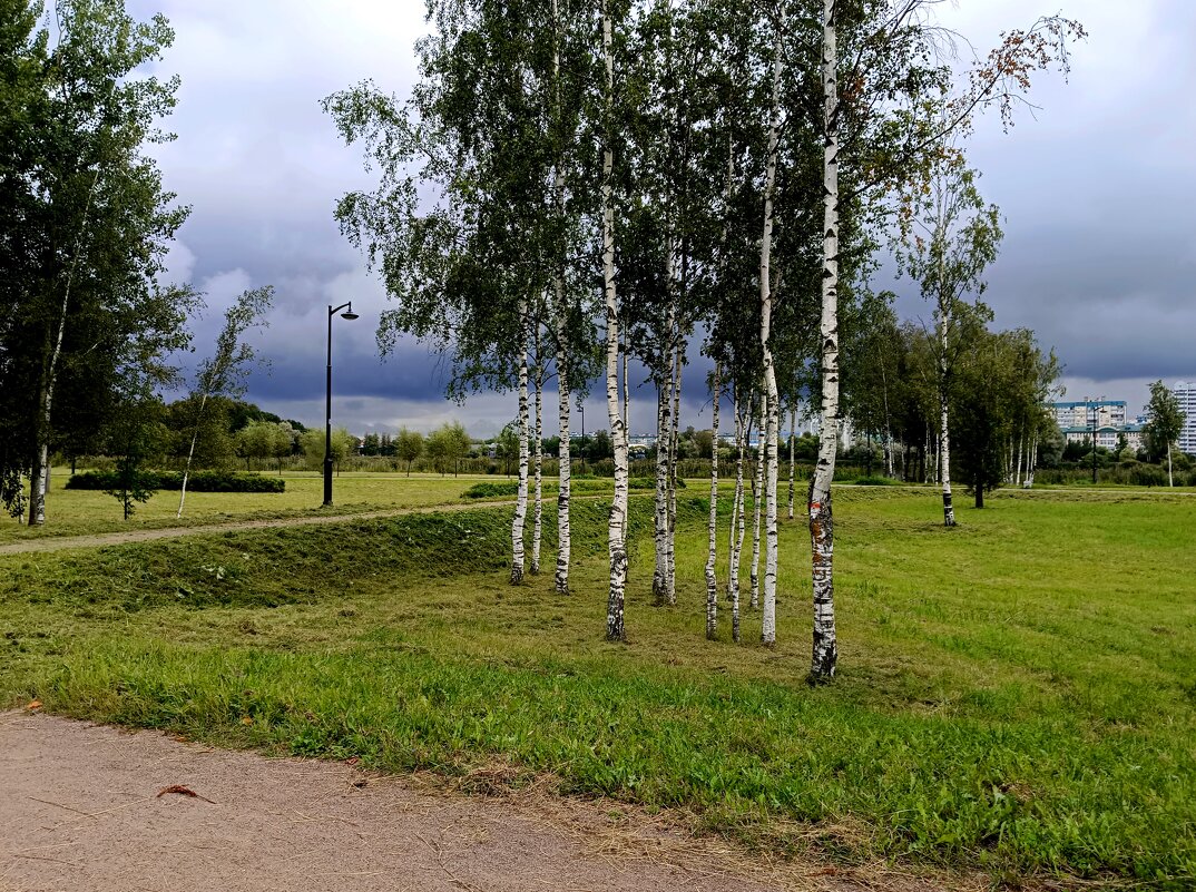 Перед дождём... - Мария Васильева Перед дождём... - Мария Васильева