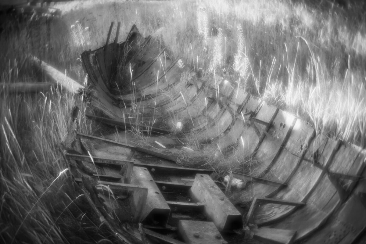 *** - Виктория Павлова