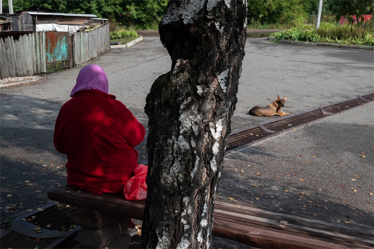 *** - Валерий Михмель 