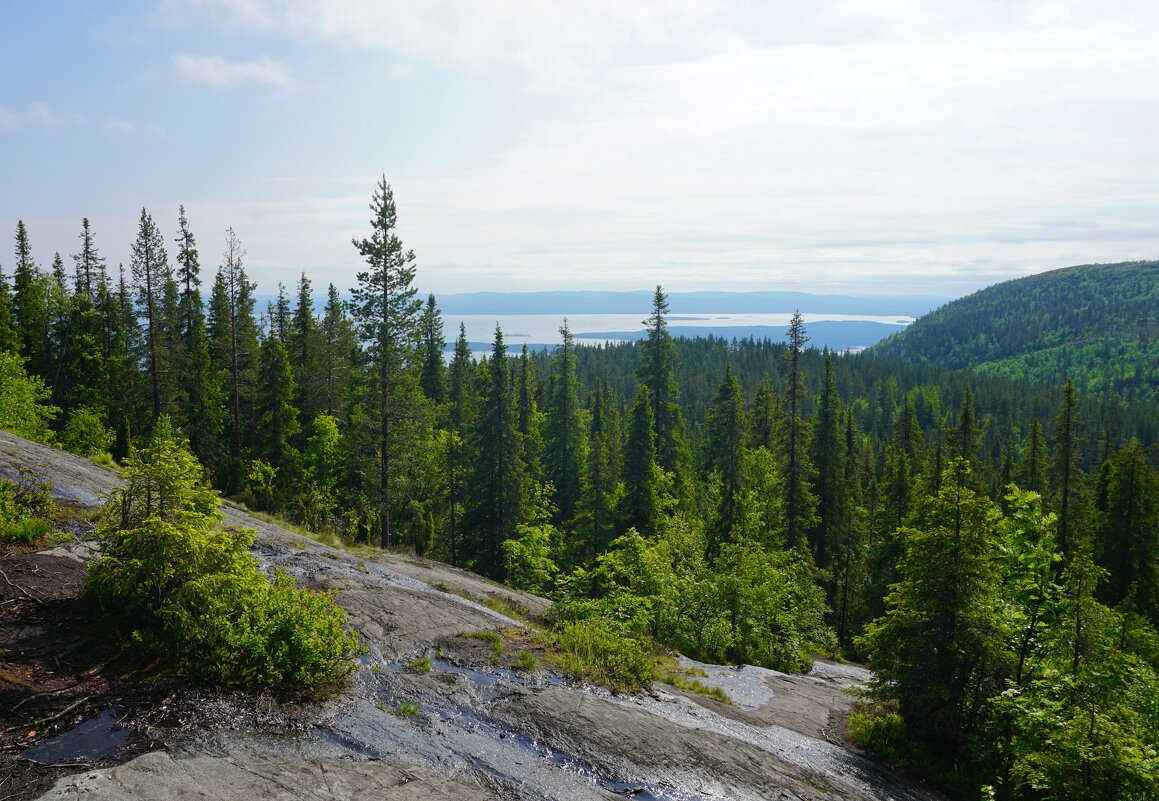 На сопке Волосяная - Ольга Чистякова