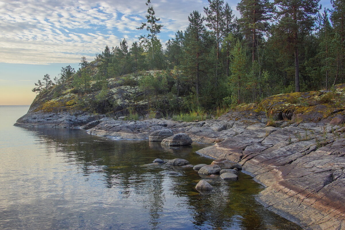 **** - Сергей  Могутов 