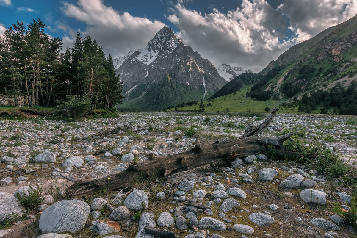 Тихтенген - Владимир Колесников