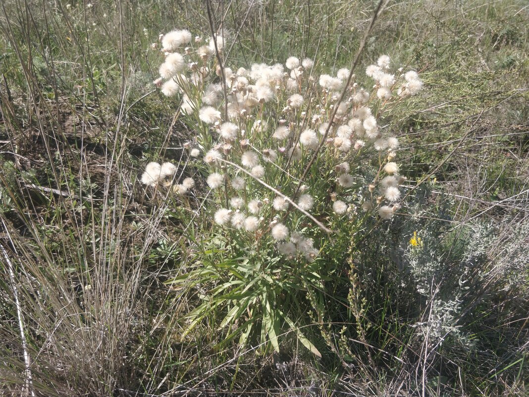 Осень идёт... - Андрей Хлопонин