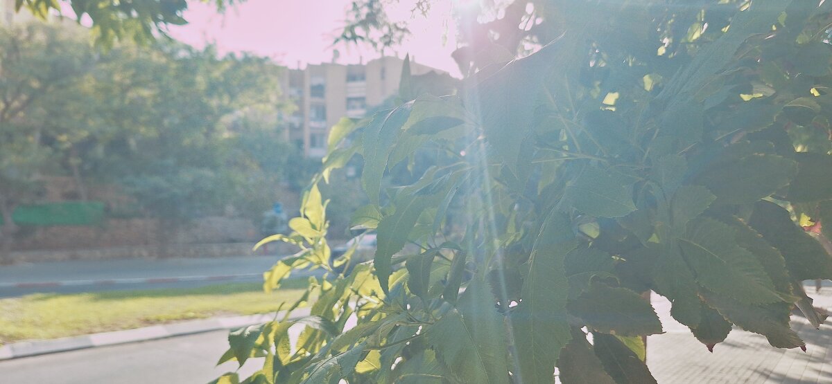 13  ОПЕН (243) - OPEN WAYS ALL