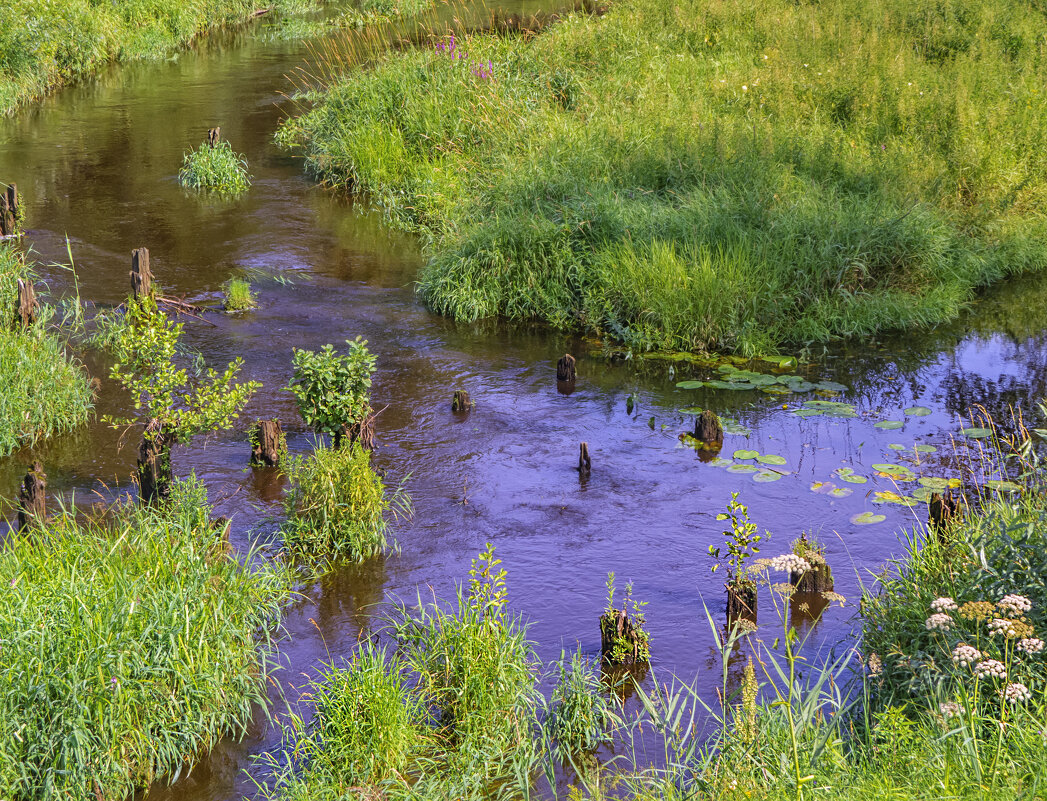 Старые сваи - Сергей Цветков