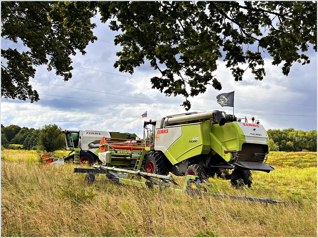 Комбайн. - Валерия Комова