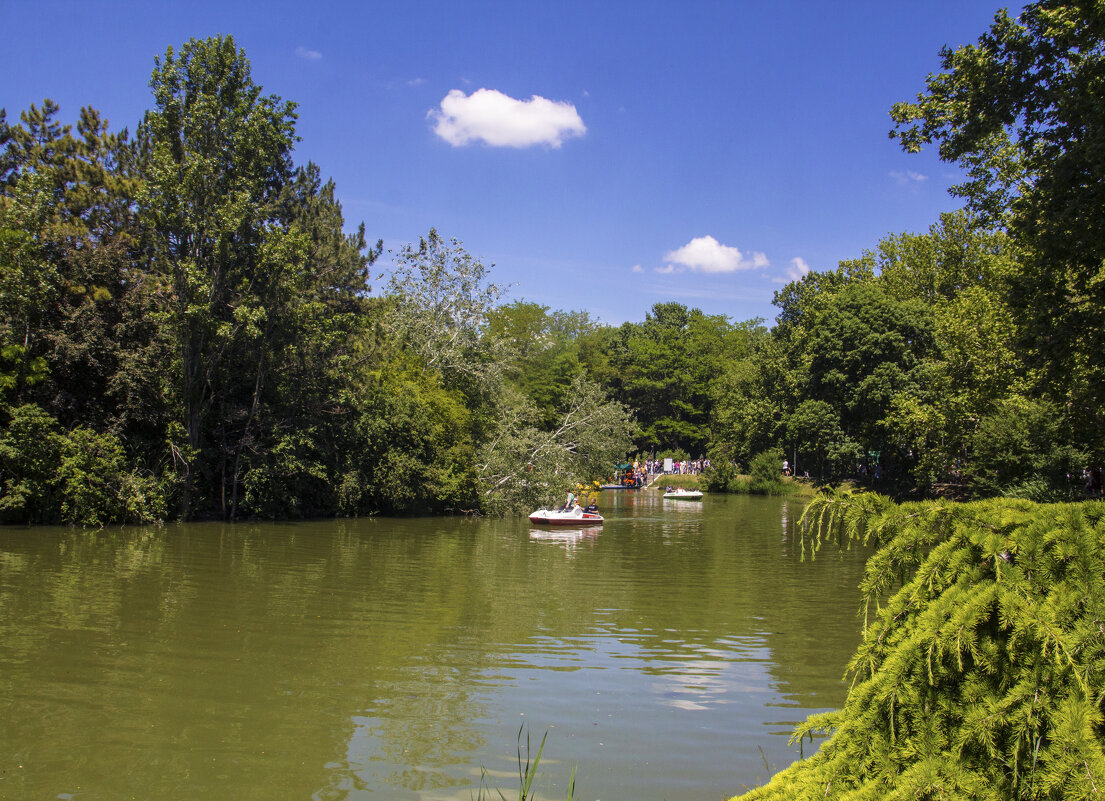 Пейзажи  Гагаринского парка - Валентин Семчишин