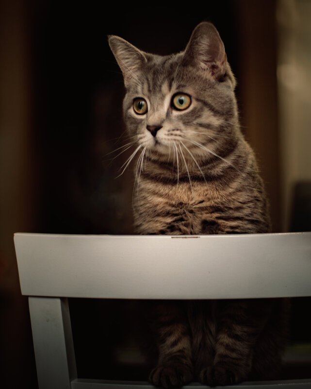 Томас - Елена 