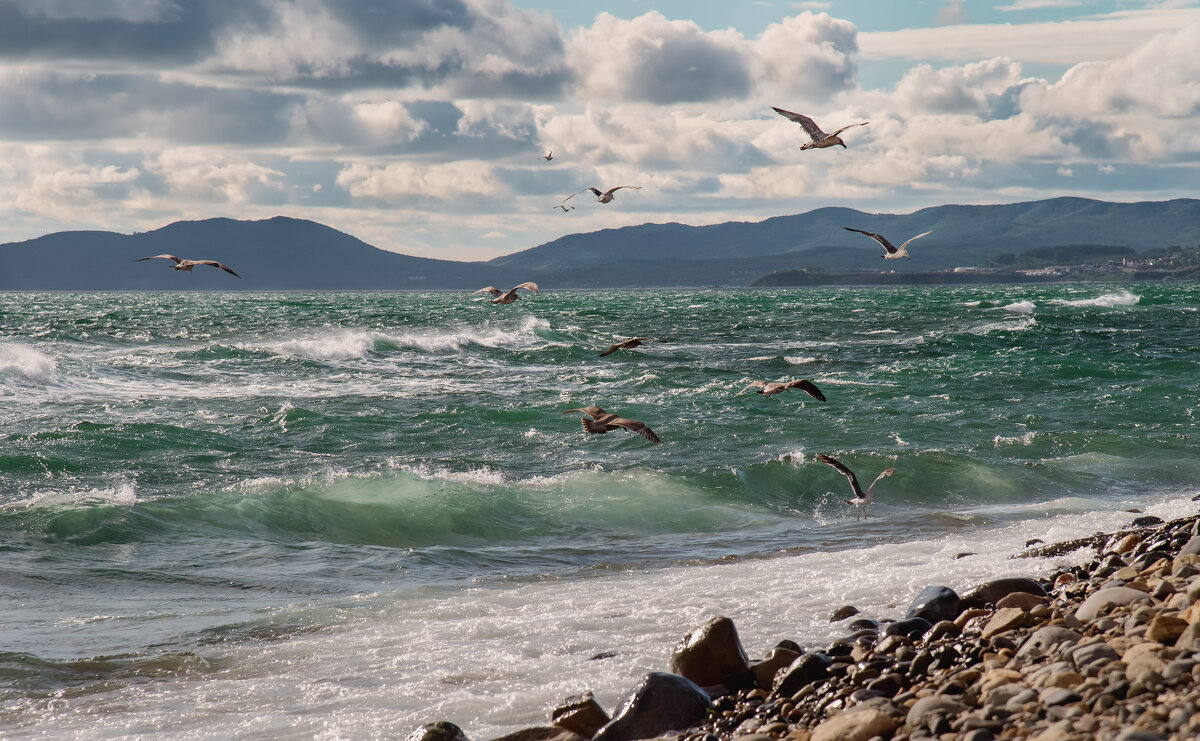 морской бриз - Елена морской бриз - Елена
