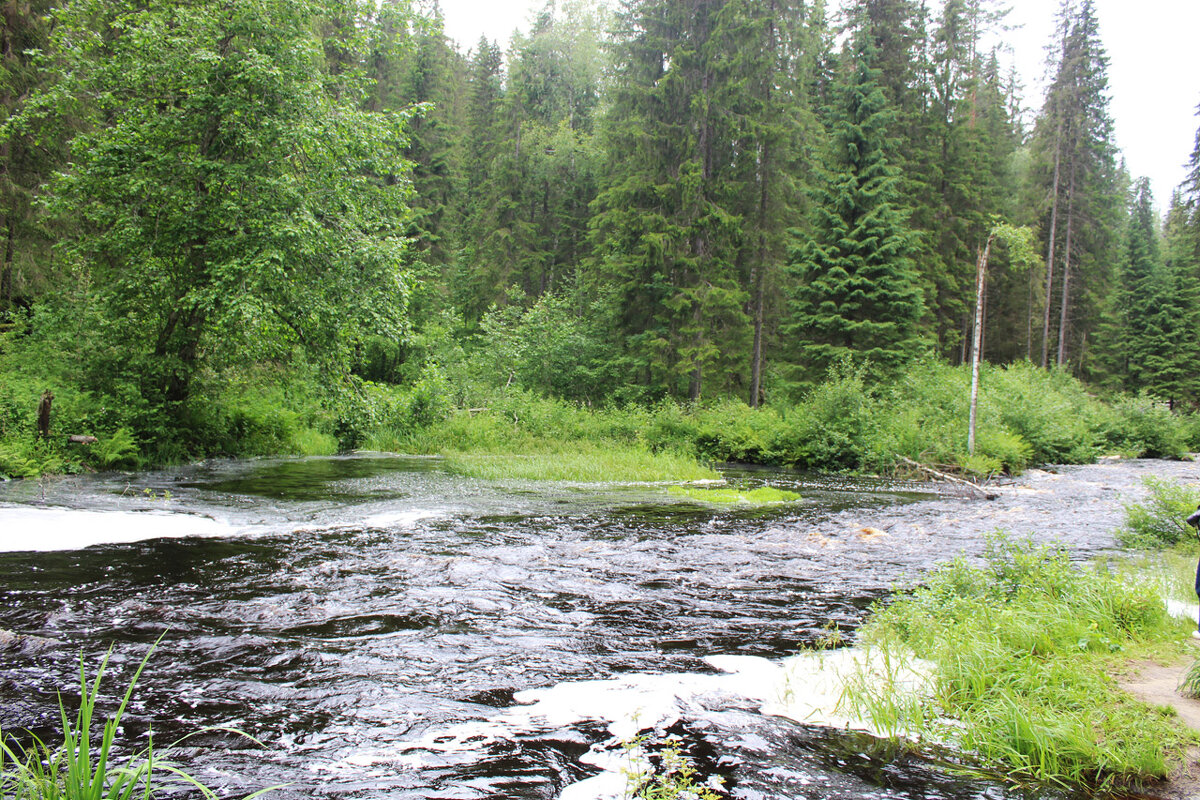 Река Янисйоки - Любовь ***