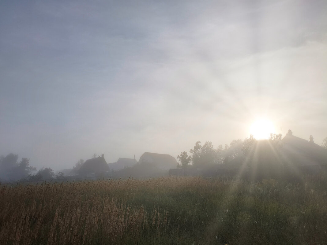 Солнце над деревней Курбатово - Денис Бочкарёв