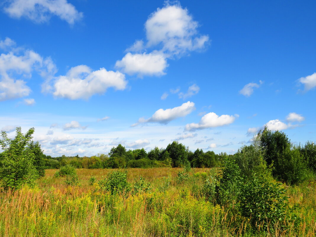 В конце лета - Андрей Снегерёв