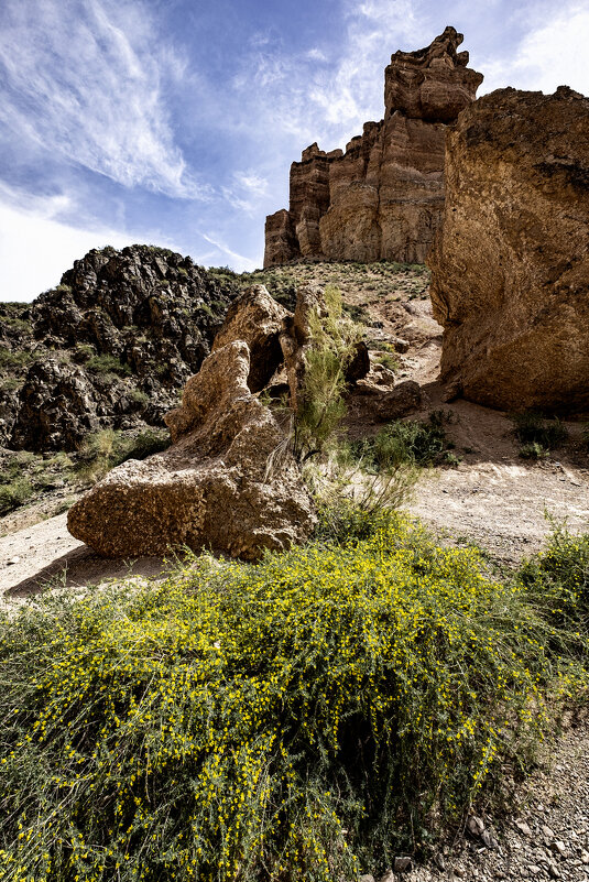 Чарынский каньон. Казахстан. - Алексей Пышненко