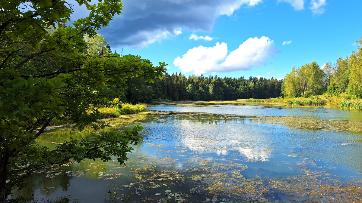 Абрамцево - Наталья 