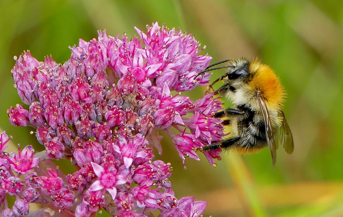 из снятого позавчера 1 - Александр Прокудин