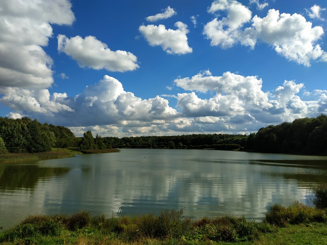 Тучки небесные - Андрей Лукьянов