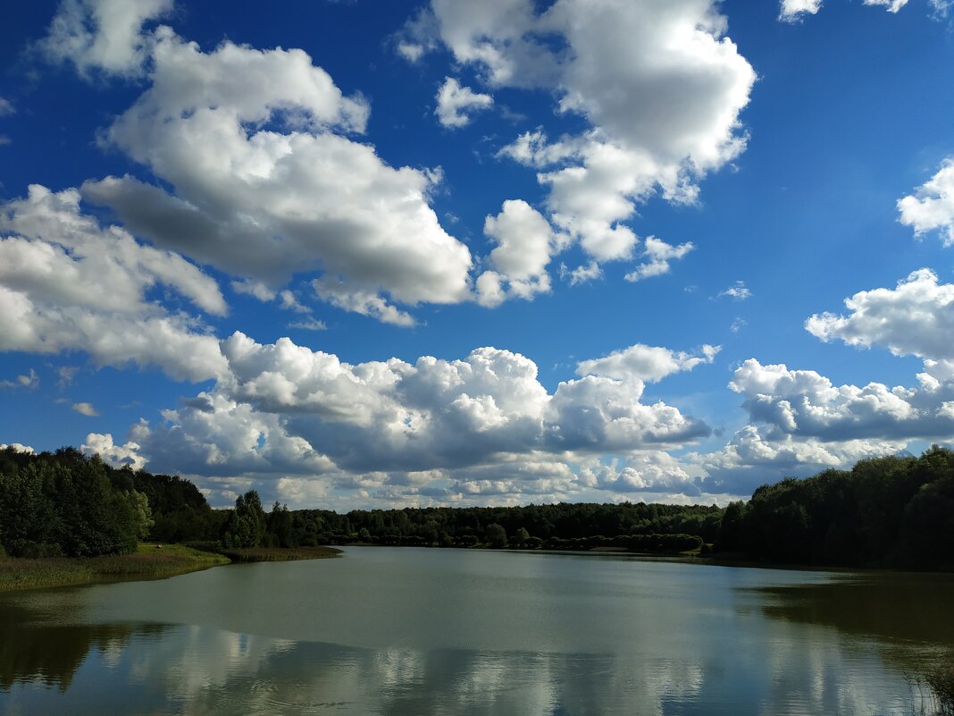 Тучки небесные - Андрей Лукьянов