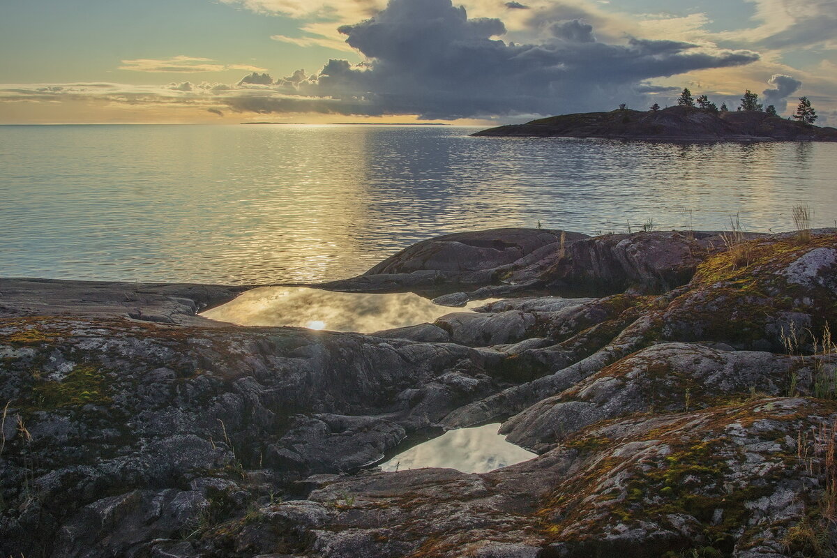 *** - Сергей  Могутов 