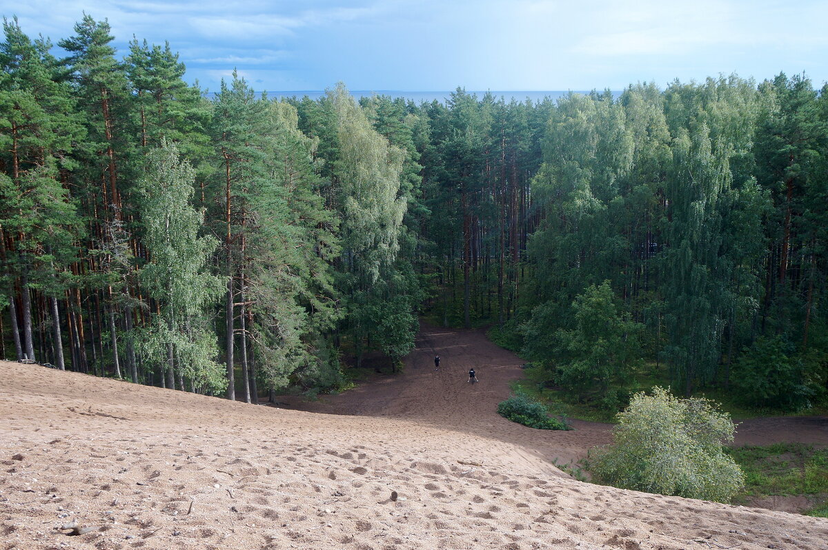 спуск с горы - zavitok *