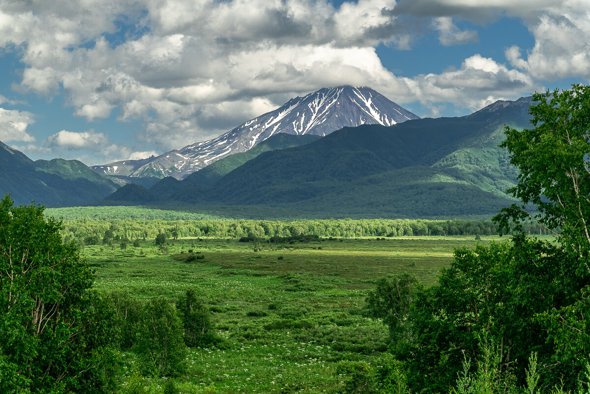 ... - Жора Житников