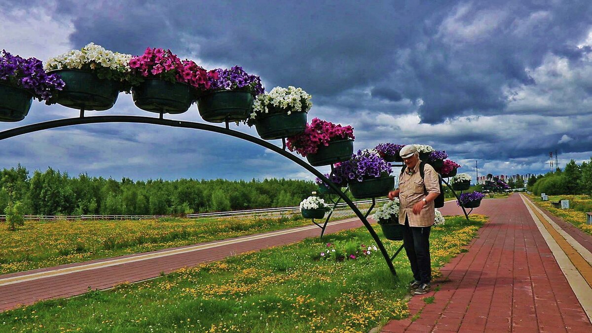 Июль...Я в прибрежном парке Нефтеюганска. - Владимир 