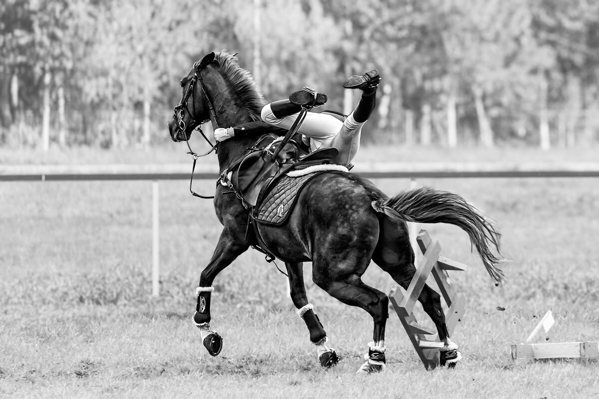 Конкур - SanSan 