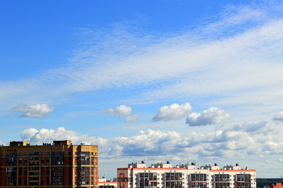 Небо августа - Татьяна Лютаева Небо августа - Татьяна Лютаева