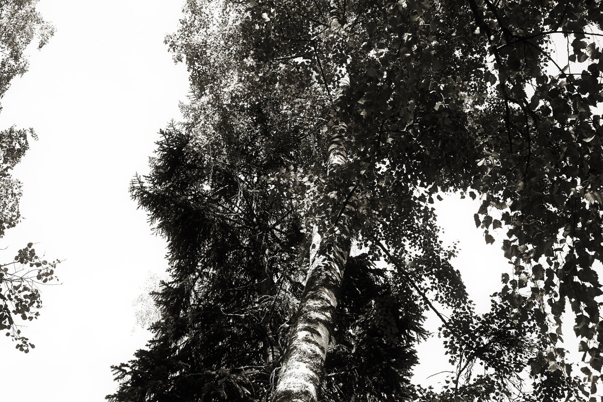 Назва. отсу. - Денис Безногов