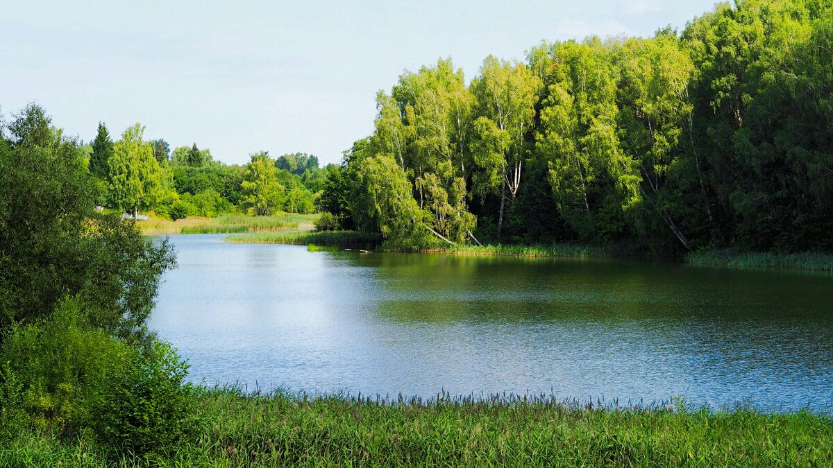 Моя Смоленщина (репортаж из поездок по области). - Милешкин Владимир Алексеевич 