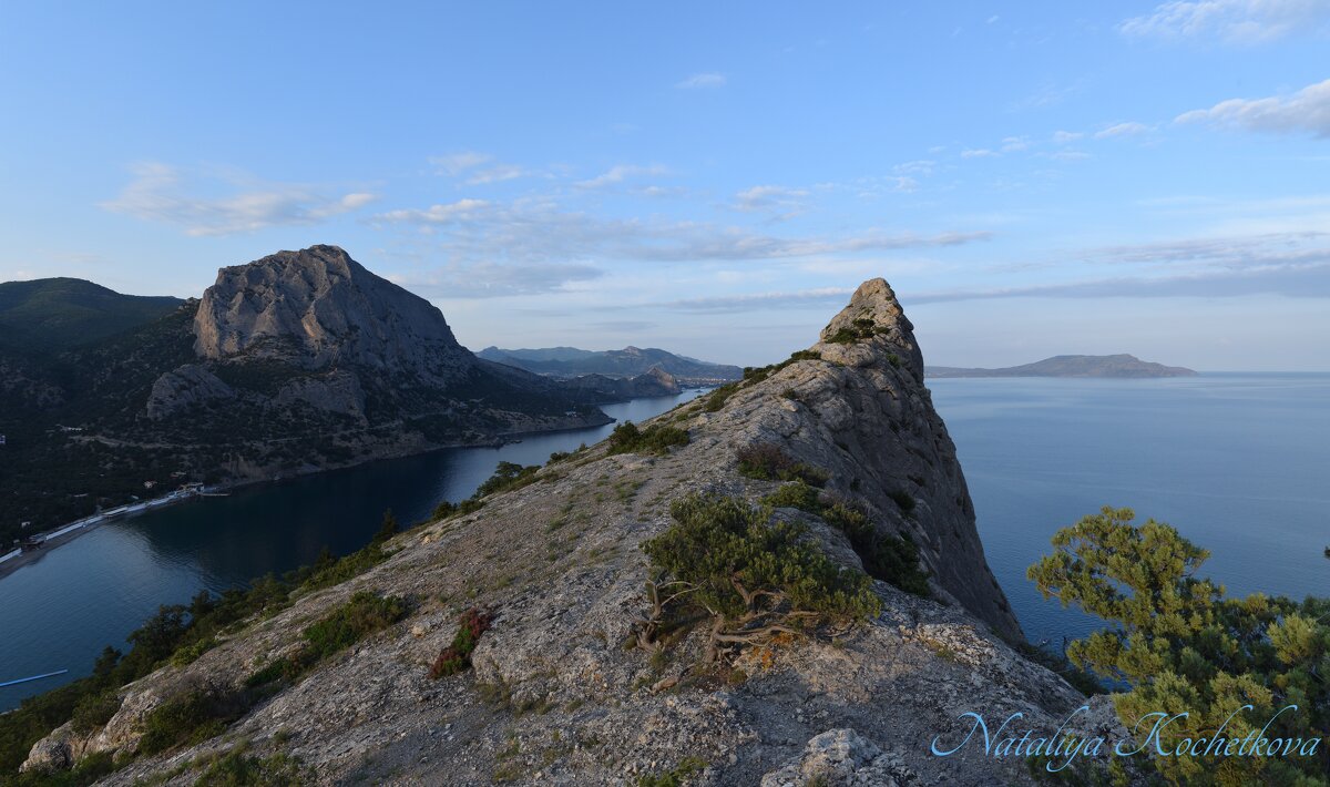 Природа Крыма - Amazing Cosmea