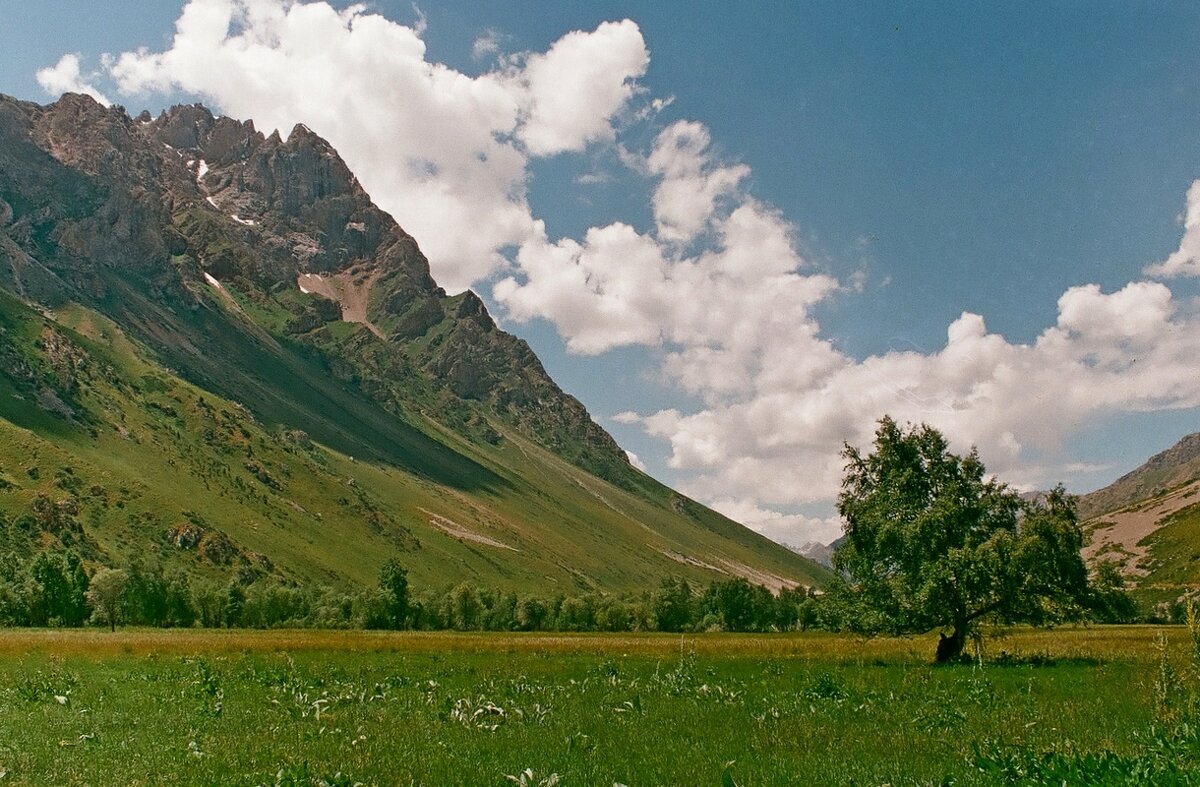 ДОЛИНА ОЙГАИНГА. - Виктор Осипчук