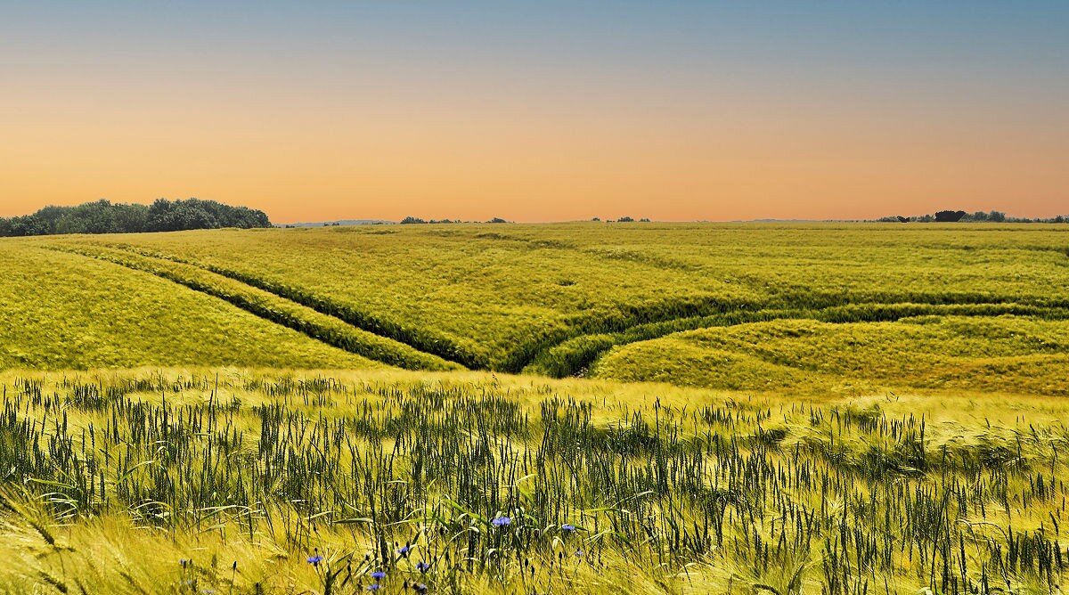 За два шага до осени - Галина Шеина-Мюльдорфер