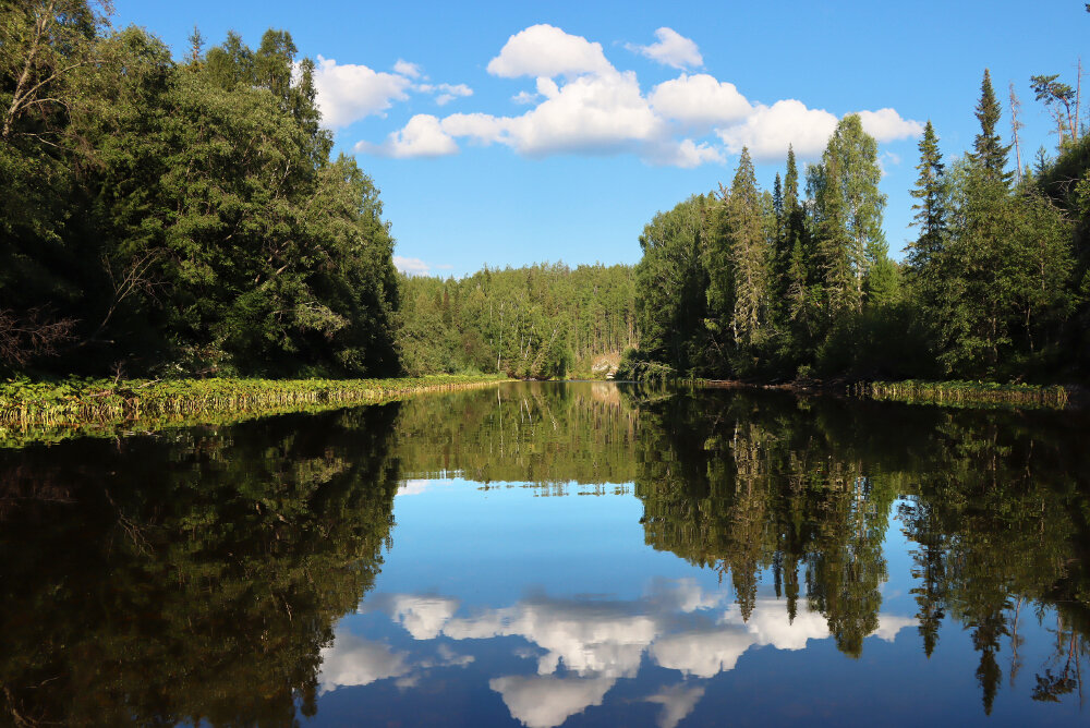 Водное зеркало - Галина Ильясова Водное зеркало - Галина Ильясова